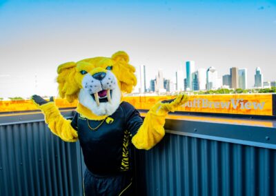 53001285379 c40895a035 o