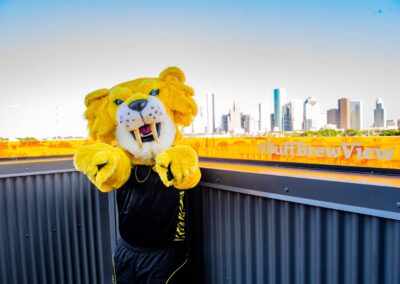 53001514160 650bc047ff o