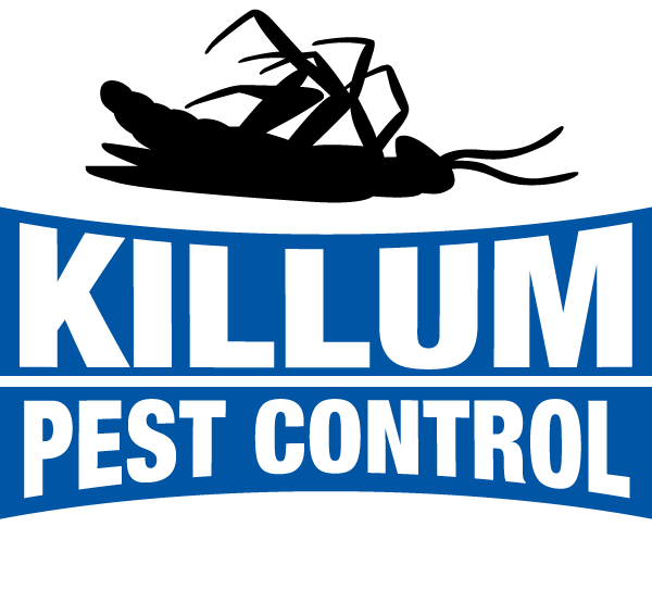 Killum Logo Killum Logo